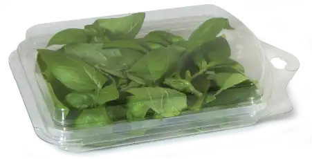 PDI, Mini Herb Clamshell