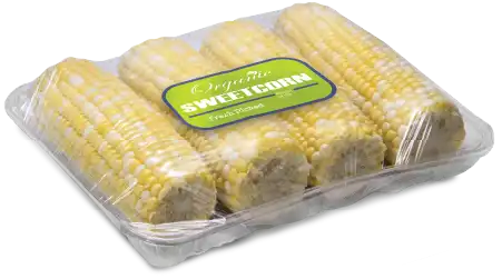 PETE Tray, 9.1 in. x 7.2 in. x 1 in. #4 Clear Tray