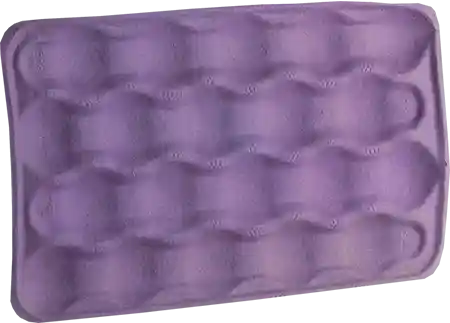 100 Count Pulp Trays