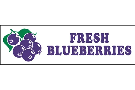 Fresh Blueberries - Banner NEW STYLE