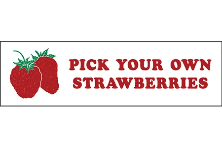 Pick Your Own Strawberries - Banner NEW STYLE