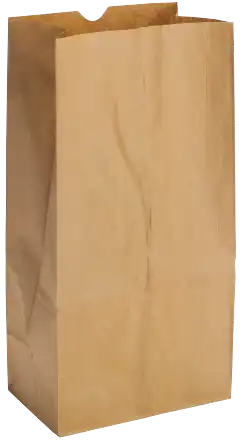 20 lbs. Grocery Bag, Kraft