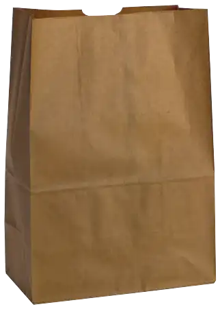 1/6 Grocery Bag, Kraft