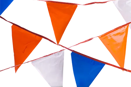 60 ft. Multi-Colored Pennants