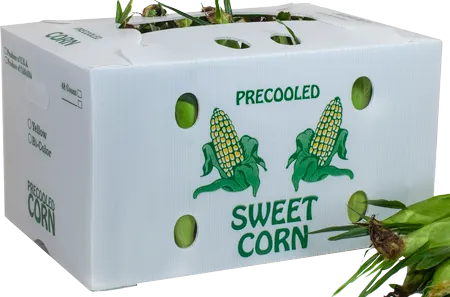 STOCK Sweet Corn, Precooled (Plastic Corrugated)