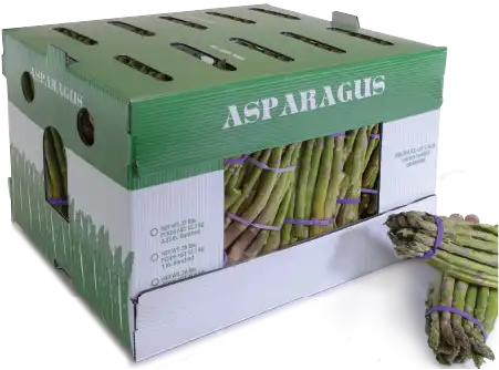 Asparagus, 28 lbs. 1 Piece Plastic Corrugated