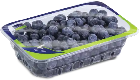 Top Seal, Low Profile Blueberry 1 Pint (Tub)
