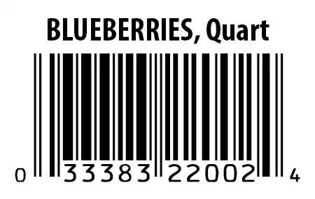UPC 33383 22002, Blueberry 1 Quart